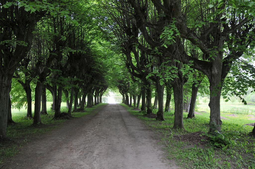 OstromeckoZespol Palacowo-Parkowy W Ostromecku住宿加早餐旅馆 外观 照片